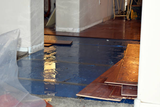 Professional Emergency Water Damage Restoration technician working in Copeland, FL